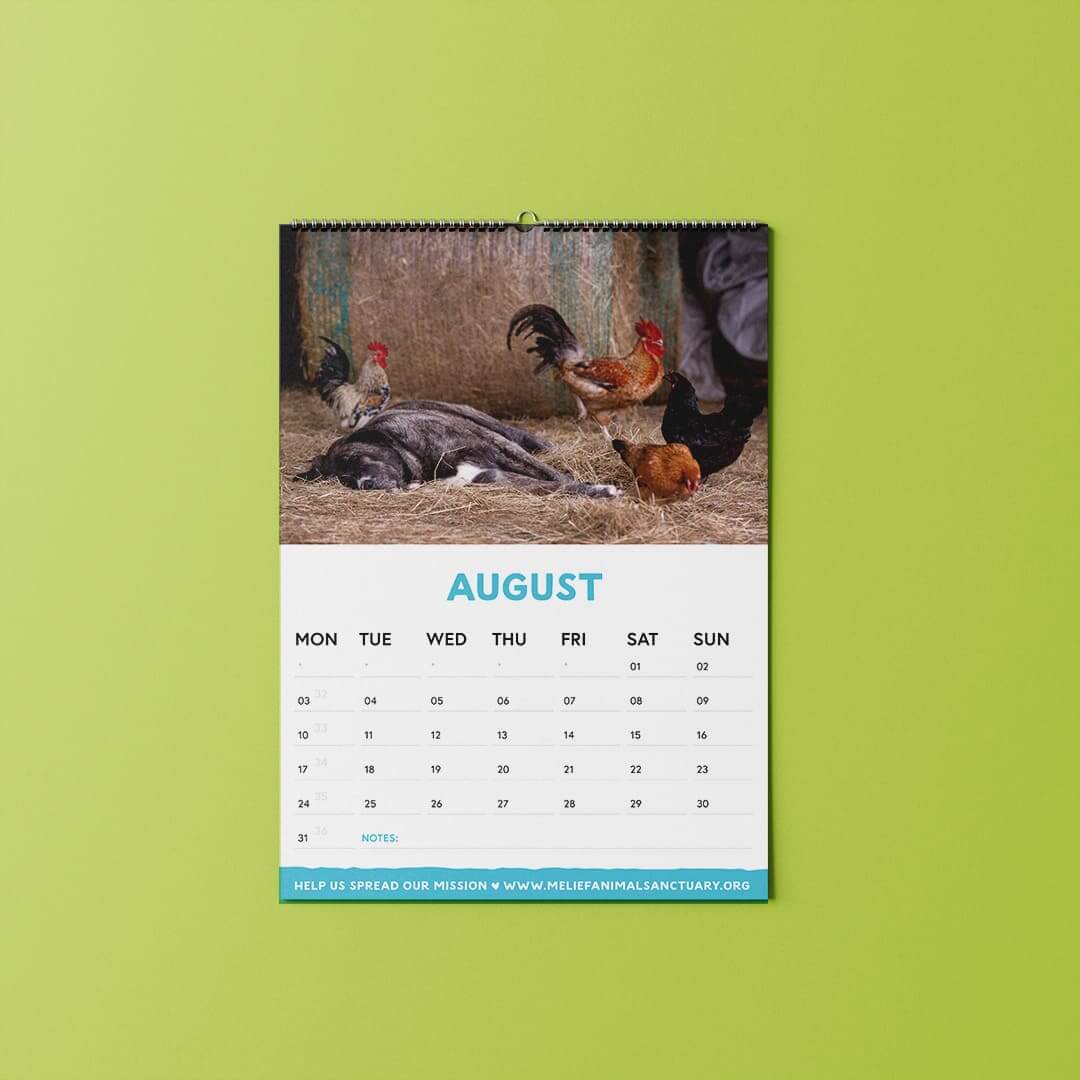 Kalender 2026 - Afbeelding 5