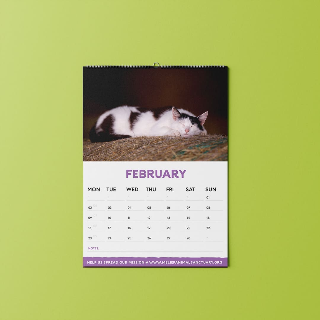 Kalender 2026 - Afbeelding 3