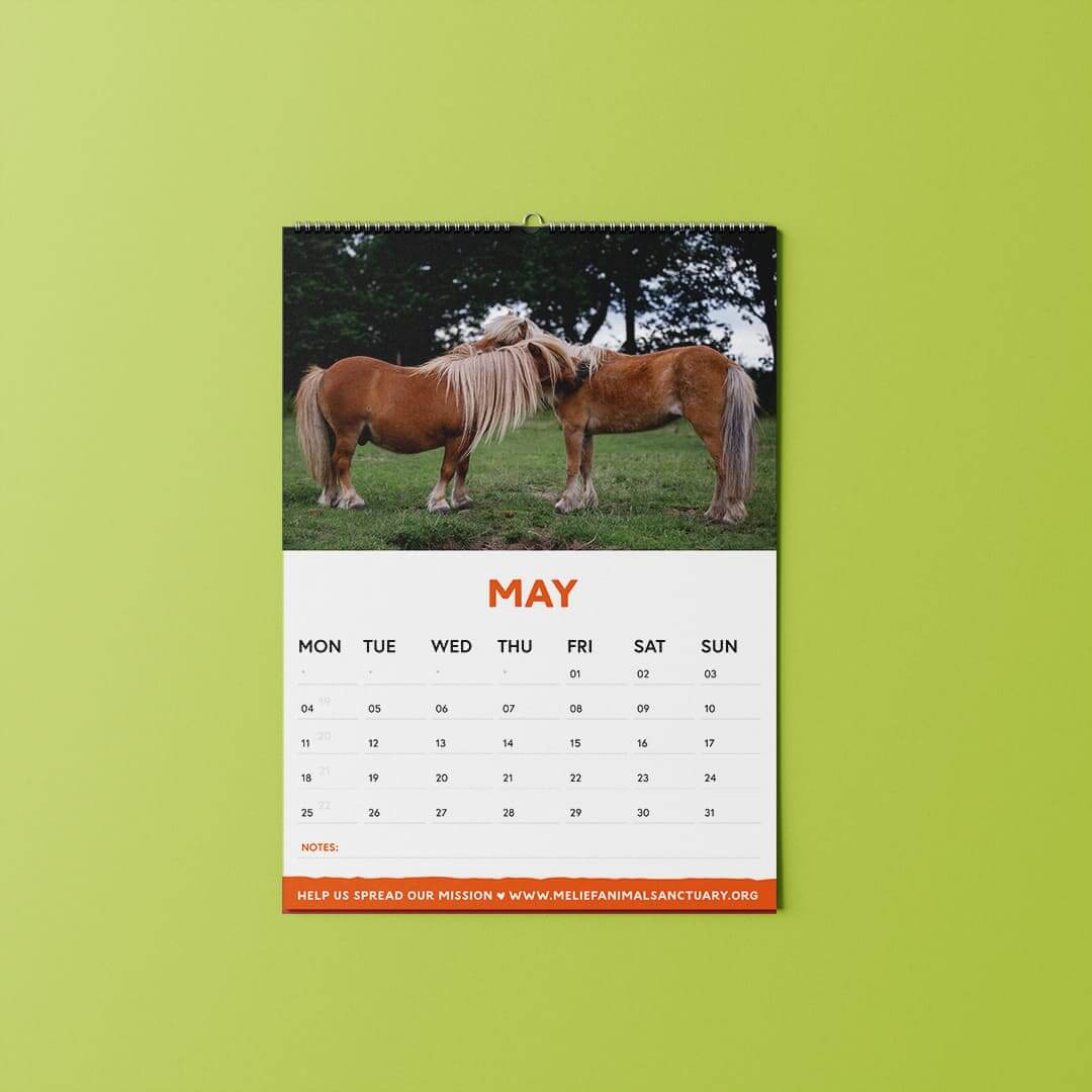 Kalender 2026 - Afbeelding 4