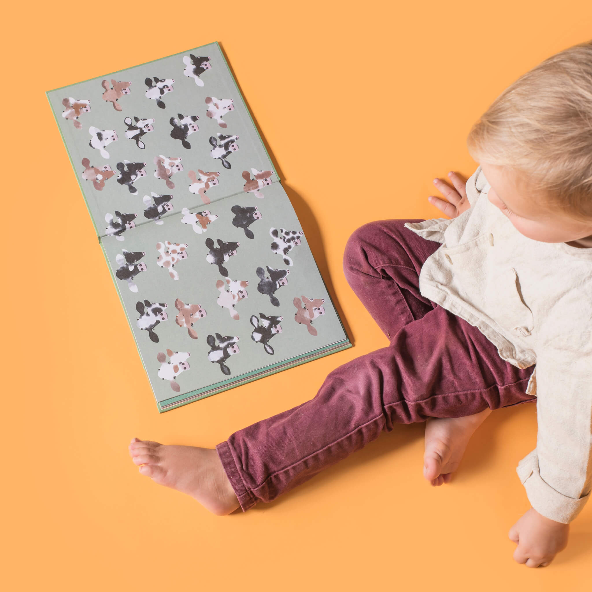 Piepmuis op bezoek bij Anna de koe - Afbeelding 6